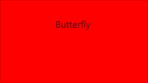 butterfly 1.0